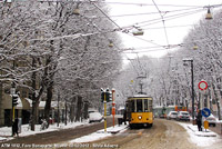 Bianco e giallo - Alberi innevati in Foro Bonaparte