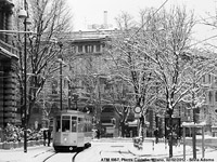 Neve in bianco e nero - 