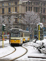 Bianco e giallo - Largo Cairoli