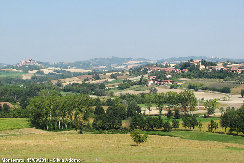 Panorami del Monferrato - Fra le colline