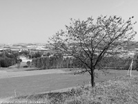 Panorami del Monferrato - Fra le colline