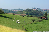 Panorami del Monferrato - Fra le colline