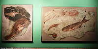 Centrale Montemartini - Centrale Montemartini