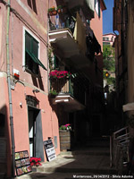 Monterosso - Centro storico
