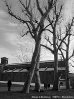 Scorci in bianco e nero - Verso la chiesa