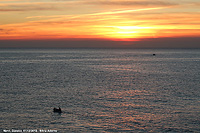 Nervi - Tramonto dalla passeggiata