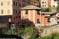 Nervi - Tripudio mediterraneo