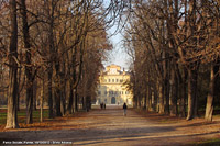 Passeggiata d'inverno - Parco Ducale