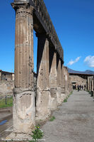 Una finestra sul passato - Tempio di Apollo