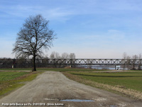 Ponte della Becca - Travata e albero