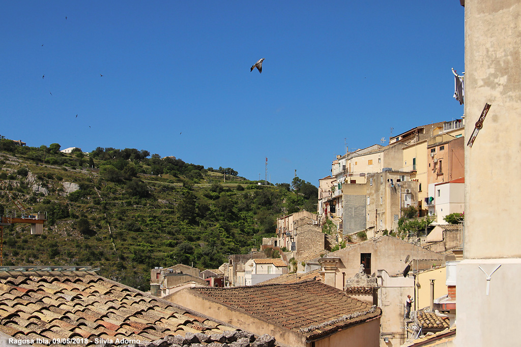 Fascino barocco - Ragusa Ibla