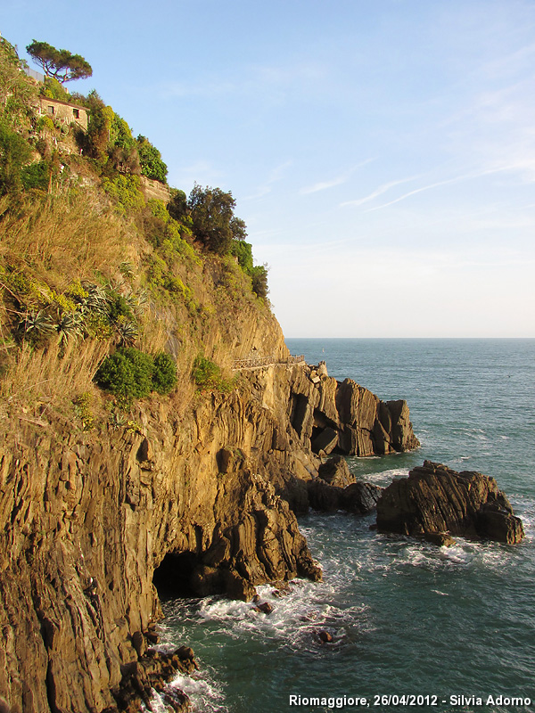 Riomaggiore - Panorama