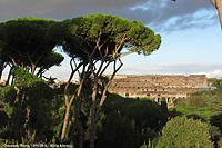 La Roma antica - Colosseo dal Palatino
