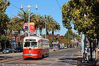 Istantanee da San Francisco - Le palme della California