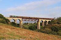 In treno verso Segesta - Viadotto sul fiume Nocella