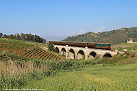 In treno verso Segesta - Tra grano, frutta e montagne