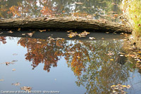 Stagioni - Autunno