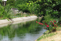 Nastri d'acqua - Canale Villoresi a Muggio'