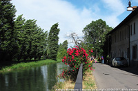 Sentieri lungo la riva - Alzaia del Naviglio Martesana, Cernusco sul Naviglio