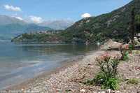Petali e piume - Fiori sulla spiaggia