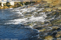 La forma dell'acqua - Ticino