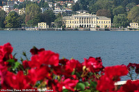 Petali e piume - Villa Olmo, Como
