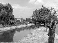 Nastri d'acqua - Canale Villoresi a Muggio'