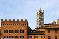 Intorno a piazza del Campo - Piazza del campo