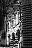 Bianco e nero - Navata del duomo