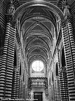 Bianco e nero - Navata del duomo