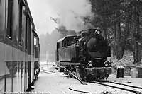 In bianco e nero - Camigliatello