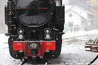 Il vapore nella neve - Dettagli della locomotiva