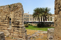 La Magna Grecia - Tempio di Apollo