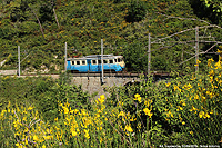 In viaggio sull'A5 - Tra le ginestre