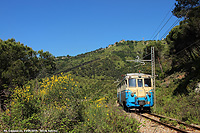 In viaggio sull'A5 - Forte Sperone, ginestre, pini
