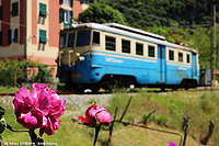 In viaggio sull'A5 - Niusci