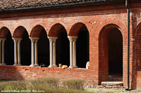 Il chiostro - Mici