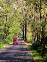 Colori autunnali - Un incontro fra gli alberi