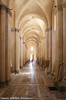 Sulle tracce degli Etruschi - Santa Maria di Castello
