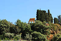 Il giardino di mandorli e ulivi - Tempio dei Dioscuri