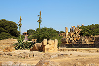 Eleganza classica - Tempio di Zeus Olimpio