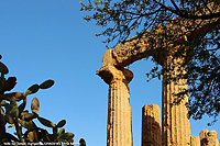 Passeggiando nella storia - Colonne e fichi d'India