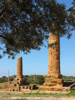 Il giardino di mandorli e ulivi - Tempio di Vulcano