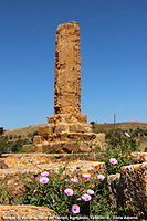 Il giardino di mandorli e ulivi - Tempio di Vulcano