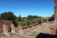 Ville, pietre, acque - Villa Adriana