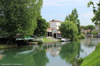 I canali - Fiume Sile