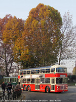 Trolley Festival - Non solo tram!