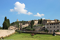 Assisi - Pax