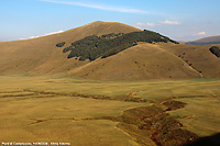 Piani di Castelluccio - Il bosco a forma di Italia