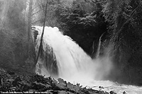 Cascata delle Marmore - Nel bosco